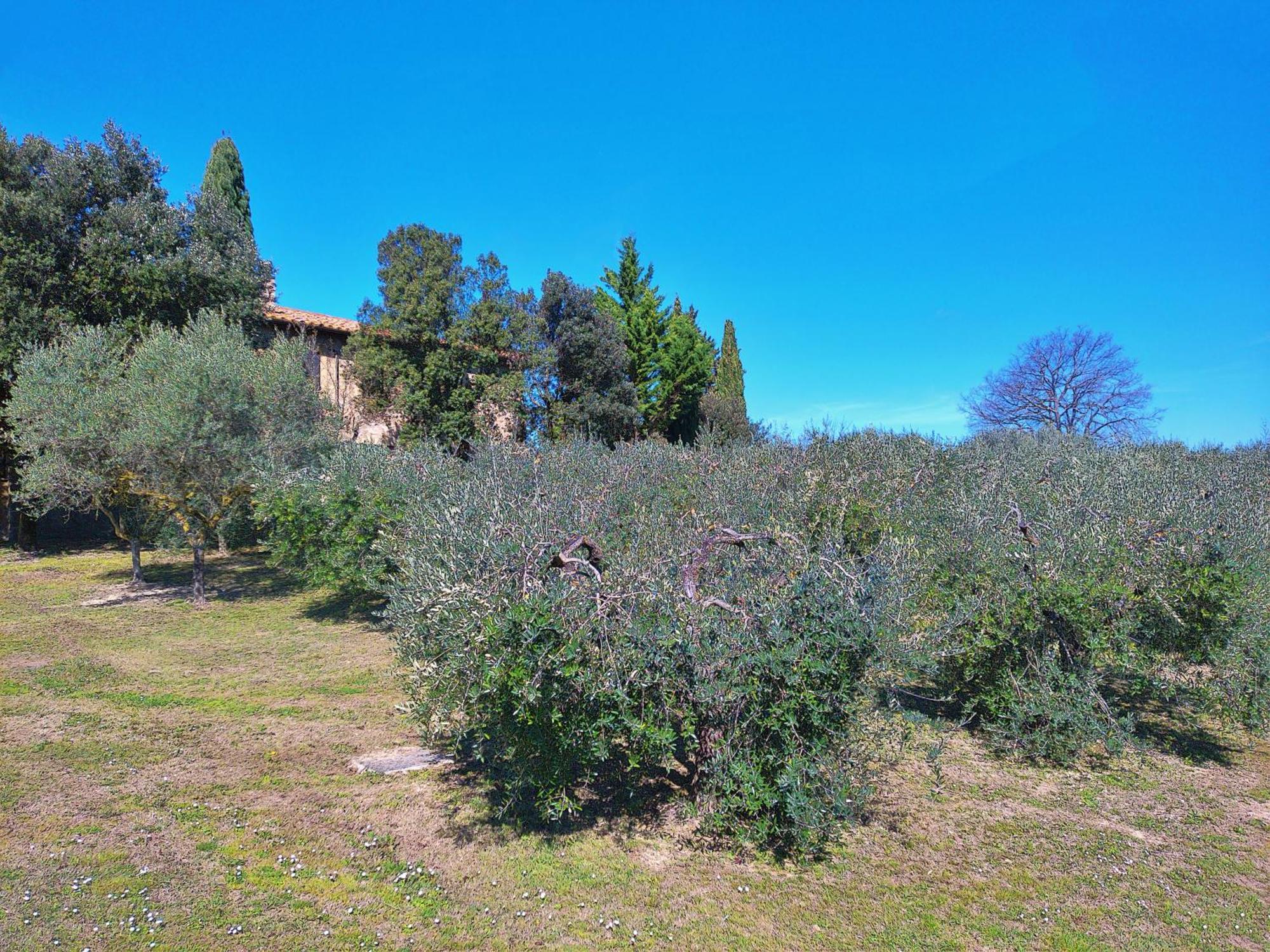 Bed & Breakfast La Collina Dei Venti Gualdo Cattaneo