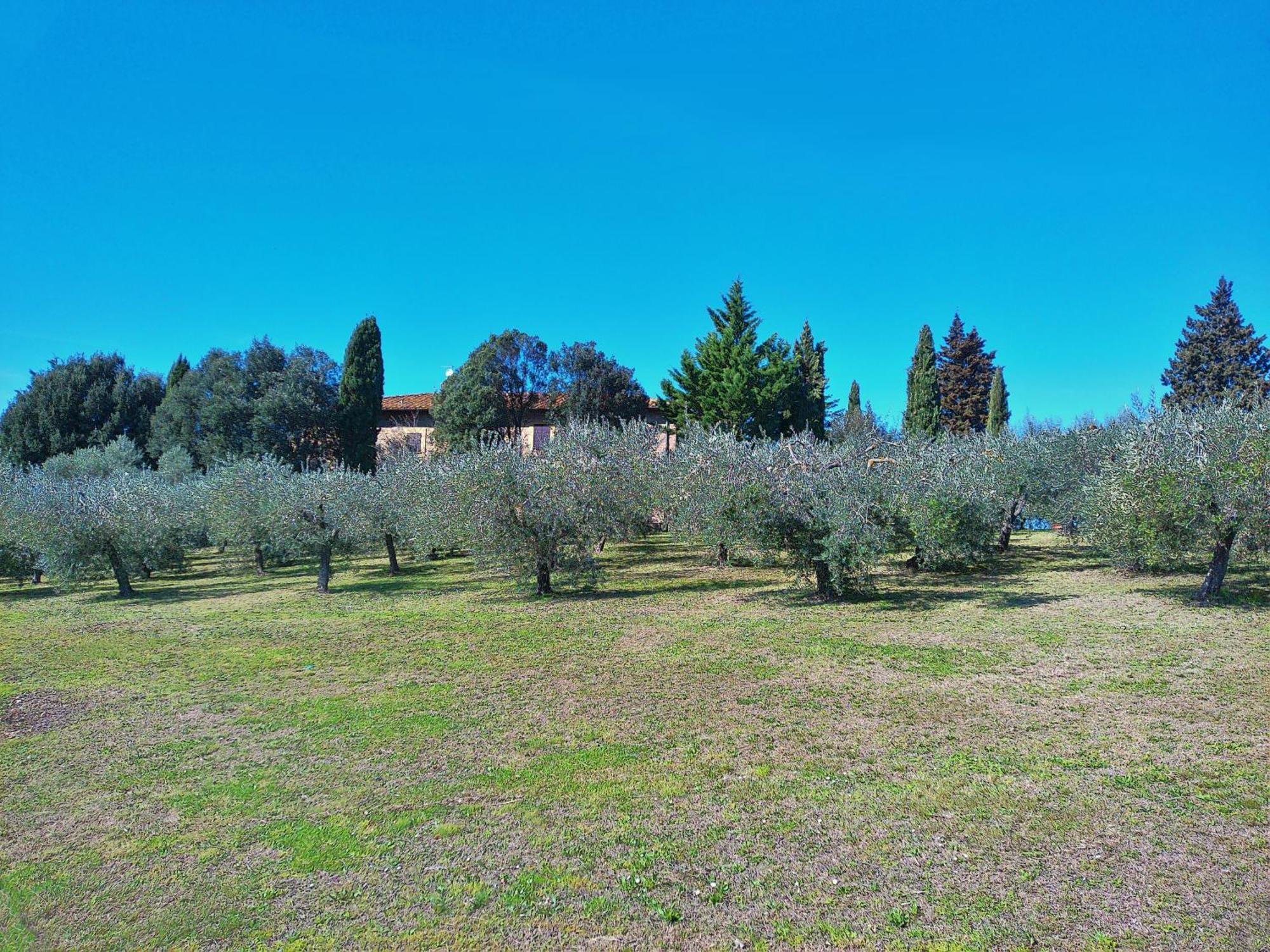 La Collina Dei Venti * Gualdo Cattaneo