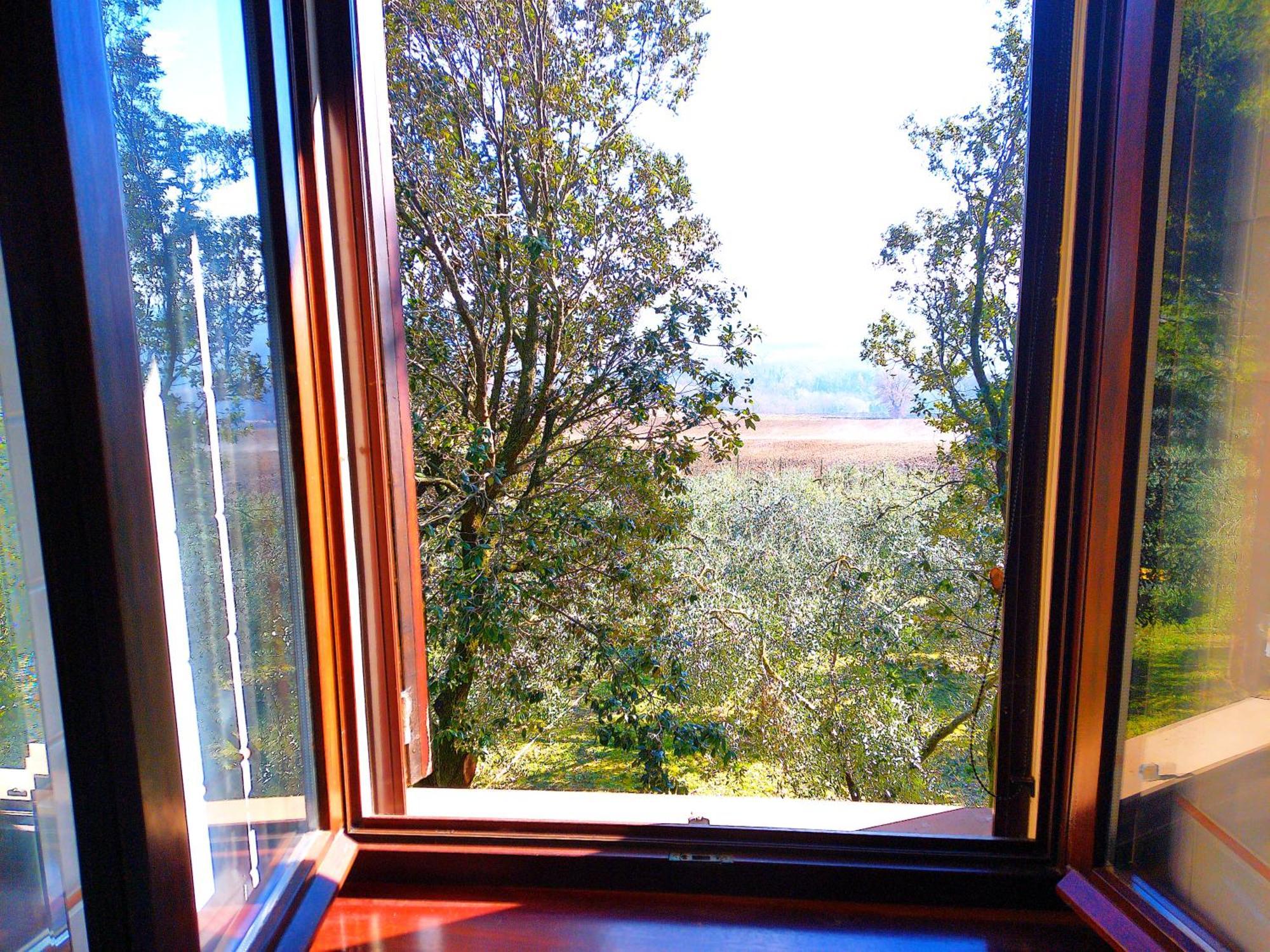 La Collina Dei Venti