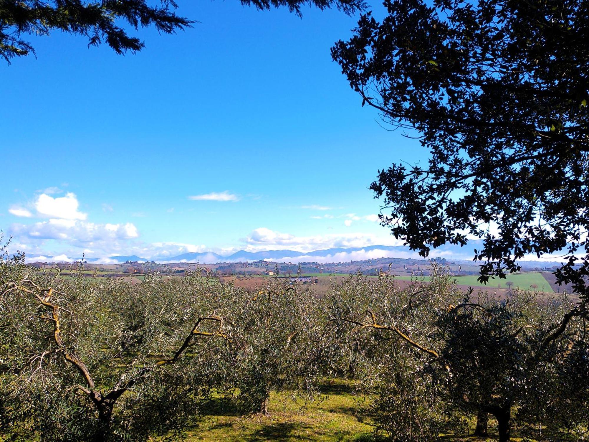 La Collina Dei Venti * Gualdo Cattaneo